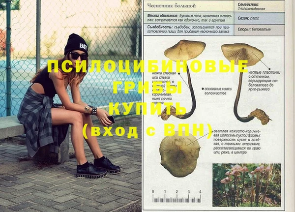 молекула духа Абдулино