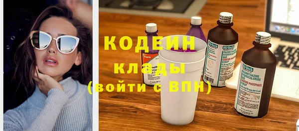 прущий лед Алзамай