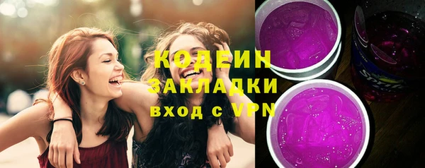 прущий лед Алзамай