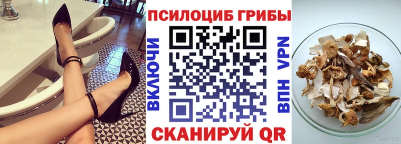 Галлюциногенные грибы Psilocybine cubensis дарк нет формула Щёлкино цены наркотик