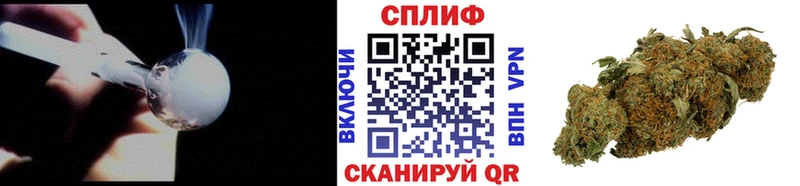 Марихуана семена  Щёлкино 